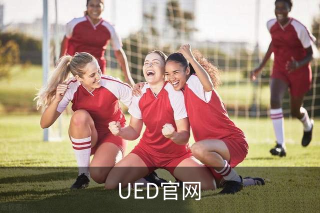 UED官网公司简介